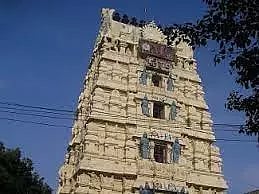 துர்க்கை அம்மனுக்கு வருசாபிஷேக விழா