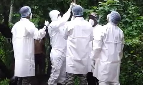 தமிழ்நாடு உள்ளிட்ட 9 மாநிலங்களில் வவ்வால்களில் நிபா வைரஸ் கண்டுபிடிப்பு - ஐ.சி.எம்.ஆர். ஆய்வறிக்கையில் தகவல்