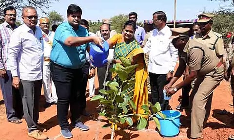 உலக இயற்கை பாதுகாப்பு தினத்தை முன்னிட்டு 5 ஆயிரம் மரக்கன்றுகள் நடும் பணி