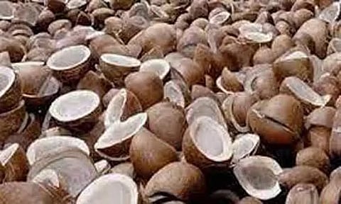 ஒழுங்குமுறை விற்பனைக்கூடங்களில் விவசாய விளைபொருட்கள் ஏலம்