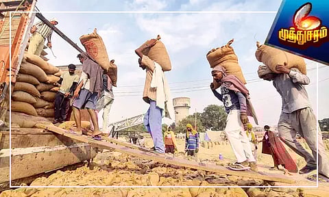 இந்தியாவின்... அரிசி ஏற்றுமதி தடையால் தவிக்கும் உலக மக்கள்