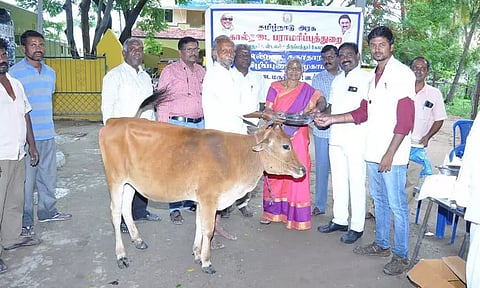 கால்நடை மருத்துவ முகாம்