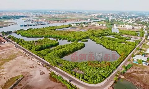 குப்பை கொட்டும் இடமாக மாறிய அலையாத்தி காடுகள்