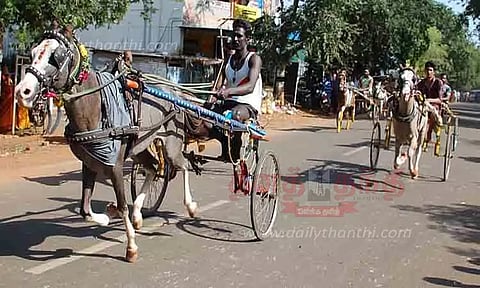 குதிரை, மாட்டு வண்டி பந்தயம்
