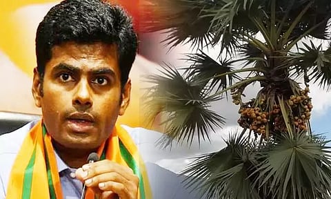 பனை மரத்தில் உள்ள அனைத்து பொருட்களும் மதிப்புமிக்கவை-அண்ணாமலை