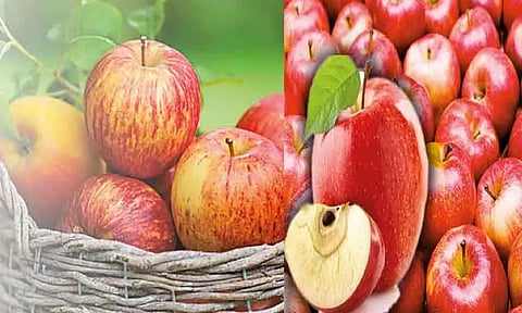 ஆரோக்கியம் நிறைந்த ஆப்பிள்