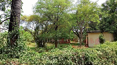 சமூக விரோதிகளின் கூடாரமாக மாறிவரும் சுங்கத்துறை குடியிருப்பு வளாகம்