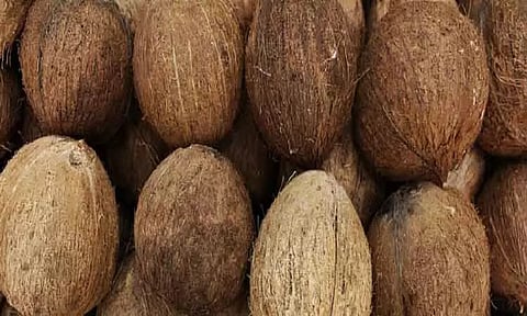 எழுமாத்தூர் ஒழுங்குமுறை விற்பனைக்கூடத்தில் ரூ.5½ லட்சத்துக்கு தேங்காய் ஏலம்