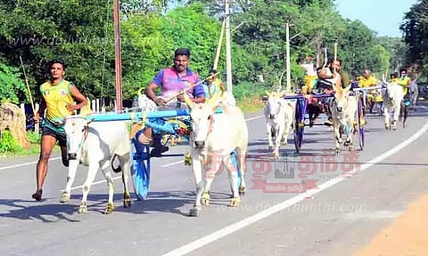 மாட்டுவண்டி பந்தயம்