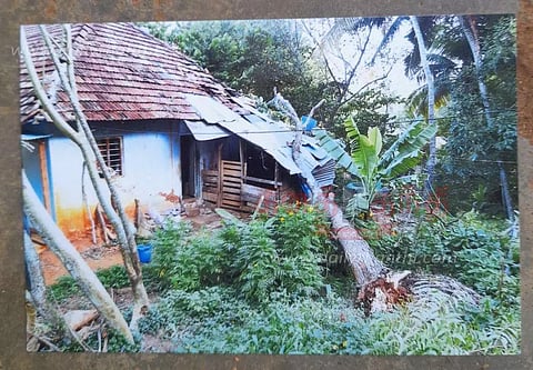 புதுக்கடை அருகே சூறைக்காற்றில் மரம் விழுந்து வீடு சேதம்