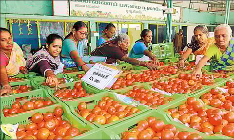 தக்காளி கிலோ ரூ.200-ஐ எட்டியது: இல்லத்தரசிகள் கடும் அதிர்ச்சி