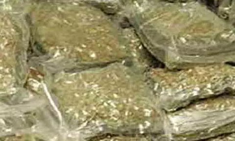 துனிசியாவில் ரூ.15 கோடி மதிப்பிலான போதைப்பொருள் பறிமுதல்