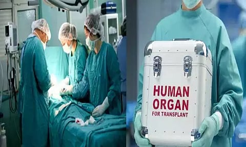 கொரோனாவுக்கு பிறகு உறுப்பு மாற்று ஆபரேஷன் அதிகரிப்பு; மாநிலங்களவையில் மத்திய மந்திரி தகவல்