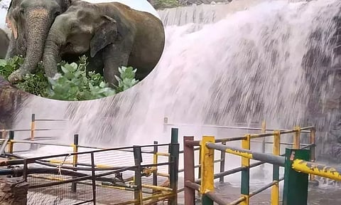 சுருளி அருவியில் சுற்றுலா பயணிகள் குளிக்கத்தடை..!