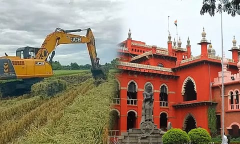 சேதப்படுத்தப்பட்ட பயிருக்கு ரூ.40 ஆயிரம் இழப்பீடு வழங்க சென்னை ஐகோர்ட்டில் என்.எல்.சி. ஒப்புதல்