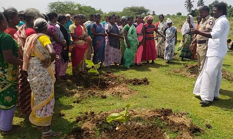 மரக்கன்றுகள் நடும் நிகழ்ச்சி