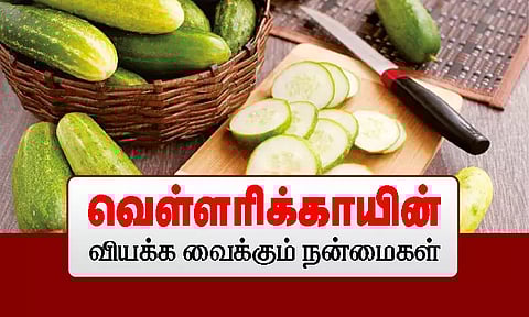 வெள்ளரிக்காயின் வியக்க வைக்கும் நன்மைகள்..!