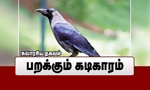 பறக்கும் கடிகாரம்..!
