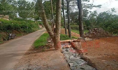 சோலை மரங்களையொட்டி சுற்றுச்சுவர் அமைக்கும் பணி