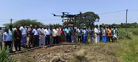 பருத்தி செடிகளுக்கு டிரோன் மூலம் மருந்து தெளிக்கும் பணி