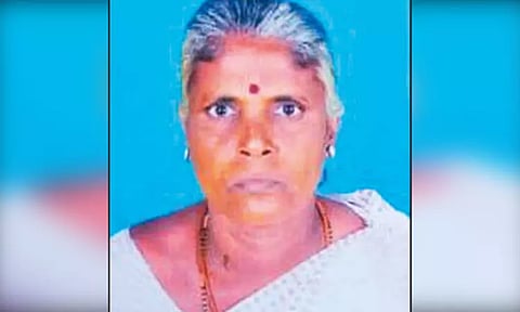 திருக்கழுக்குன்றம் அருகே பேரனை காப்பாற்ற முயன்ற பாட்டி மின்சாரம் தாக்கி பலி