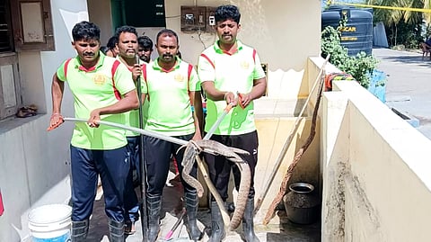 வேடசந்தூரில் நிதி நிறுவன அதிபர் வீட்டுக்குள் புகுந்த பாம்பு