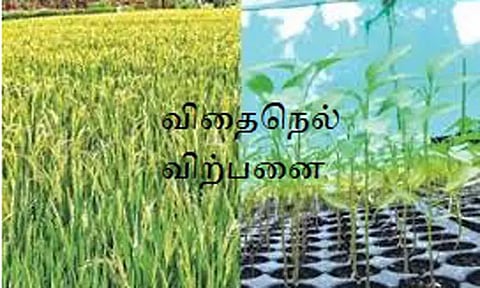 விவசாயிகளுக்கு நெல் விதைகள் விற்பனை