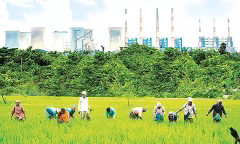 என்.எல்.சி. நிர்வாகம் என்ன சொல்கிறது?