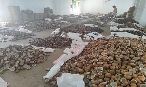 ஆனைமலையில் கொப்பரை தேங்காய் ஏலம்