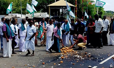விவசாயிகள் சாலையில் தேங்காயை உடைத்து பாராட்டம்