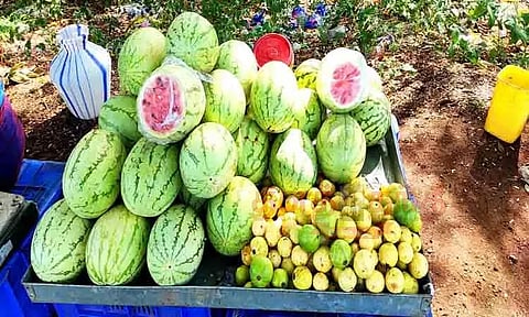 மீண்டும் விற்பனைக்கு வந்த தர்பூசணி