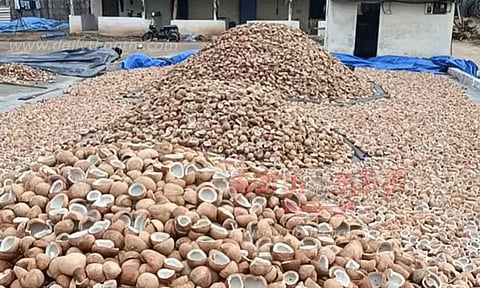 கொப்பரை கொள்முதல் இலக்கு 7 ஆயிரம் மெட்ரிக் டன்