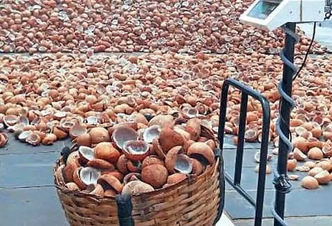 திருச்செங்கோட்டில் ரூ.15 லட்சத்துக்கு கொப்பரை தேங்காய் ஏலம்