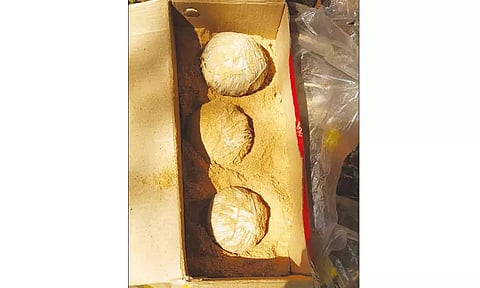 புதரில் பதுக்கிய 3 நாட்டு வெடிகுண்டுகள் பறிமுதல்: பிரபல ரவுடிக்கு தொடர்பா?