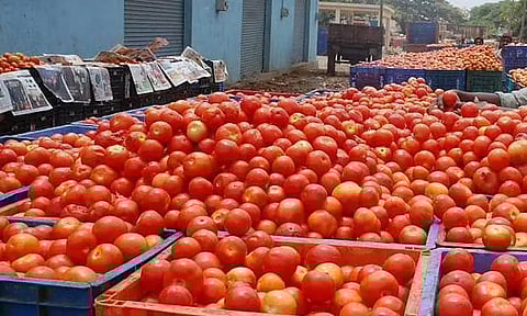 சென்னை கோயம்பேடு சந்தையில் தக்காளி விலை குறைந்தது ...!