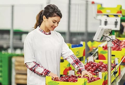 உணவு சார்ந்த தொழில் செய்ய தேவையான சான்றிதழ்கள்