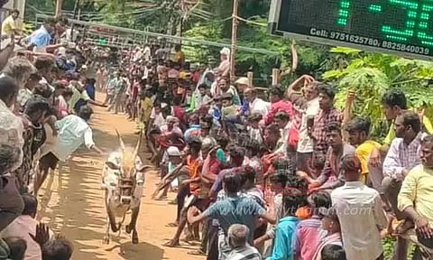 காளை விடும் விழா