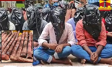 திருப்பதி வனப்பகுதியில் இருந்து செம்மரங்களை வெட்டி கடத்தியதாக தமிழ்நாட்டை சேர்ந்த 47 கூலித் தொழிலாளர்கள் கைது