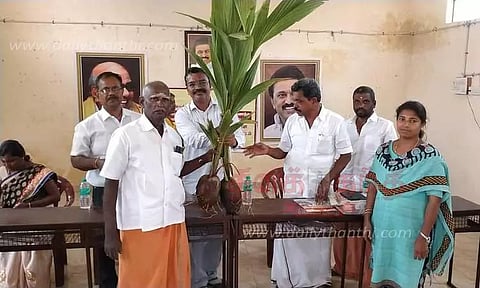 இலவச தென்னங்கன்றுகள் வினியோகம்