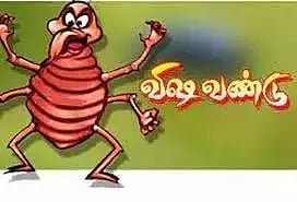 கதண்டுகள் கடித்து 6 பேர் படுகாயம்