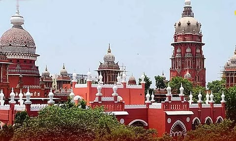 யானைகள் வழித்தடத்தில் உள்ள 19 லட்சம் மூங்கில் மரங்களை வெட்ட அனுமதிக்க முடியாது - சென்னை ஐகோர்ட்டு