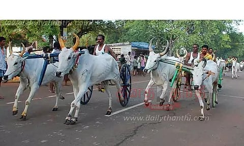கோவில் திருவிழாவையொட்டி மாட்டு வண்டி பந்தயம்