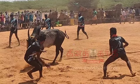 சீறிப்பாய்ந்த காளைகளை போட்டிப்போட்டு அடக்கிய வீரர்கள்