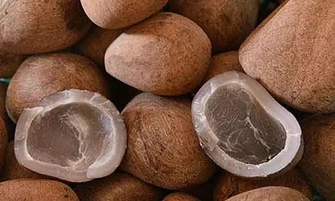 கோபி ஒழுங்குமுறை விற்பனைக்கூடத்தில் ரூ.6 லட்சத்துக்கு கொப்பரை தேங்காய் ஏலம்