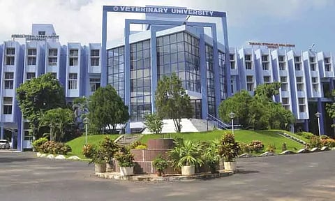 கால்நடை மருத்துவ படிப்புகளுக்கான பொதுப்பிரிவு கலந்தாய்வு தொடங்கியது