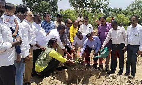 மரக்கன்றுகள் நடும் விழா