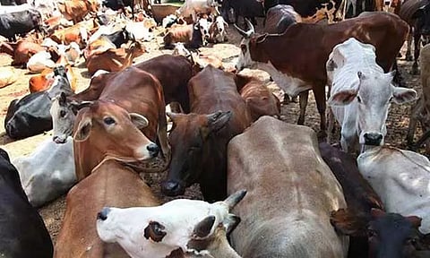 கோப்புப்படம்