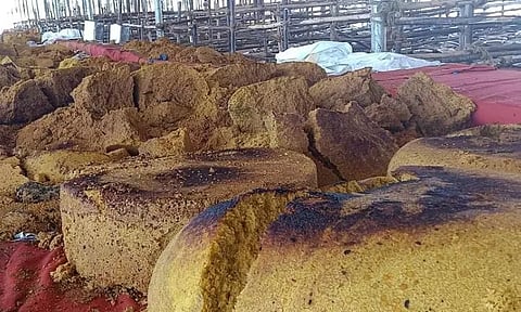 மதுரை அ.தி.மு.க. மாநாட்டில் டன் கணக்கில் உணவு வீணாக்கப்பட்ட அவலம்