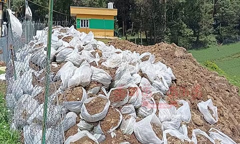 மலைக்காய்கறி சாகுபடியில் விவசாயிகள் ஆர்வம்