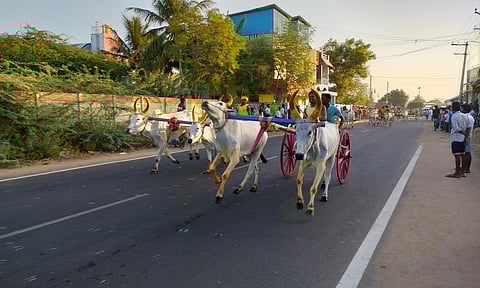 மாட்டு வண்டி எல்கை பந்தயம்